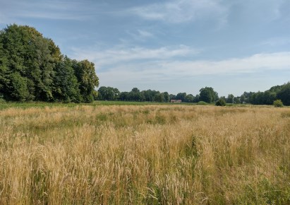 działka na sprzedaż - Hecznarowice