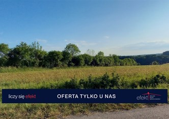 parcel for sale - Skoczów (gw), Wiślica