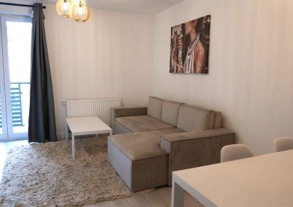 apartment for rent - Bielsko-Biała, Kamienica