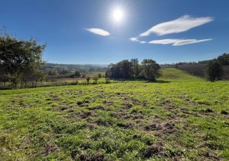 działka na sprzedaż - Jasienica, Wieszczęta