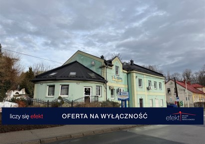 premise for sale - Bielsko-Biała, Górne Przedmieście