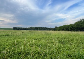 działka na sprzedaż - Jasienica, Międzyrzecze Górne