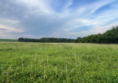 działka na sprzedaż - Jasienica, Międzyrzecze Górne