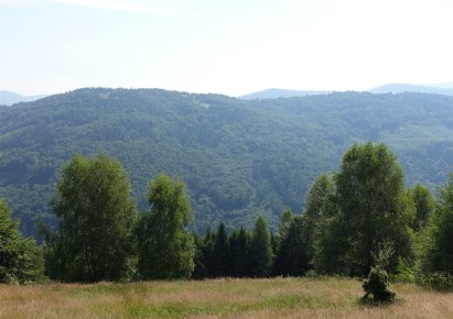 działka na sprzedaż - Brenna