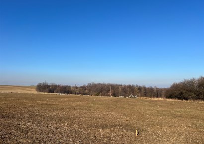 działka na sprzedaż - Jasienica, Międzyrzecze Górne