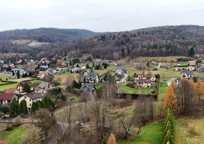 działka na sprzedaż - Wilkowice, Meszna