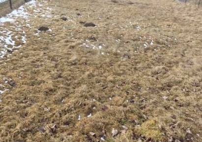 działka na sprzedaż - Jeleśnia, Krzyżowa