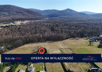 działka na sprzedaż - Jasienica, Biery