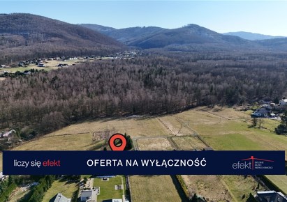 działka na sprzedaż - Jasienica, Biery