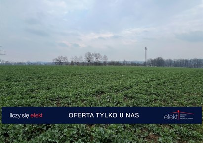 działka na sprzedaż - Jasienica, Międzyrzecze Dolne
