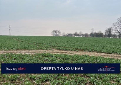parcel for sale - Jasienica, Międzyrzecze Dolne