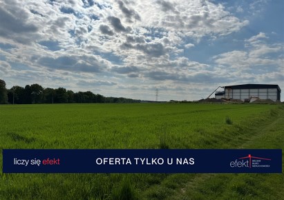 działka na sprzedaż - Jasienica, Międzyrzecze Dolne