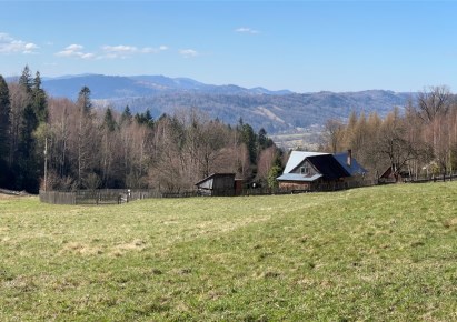 działka na sprzedaż - Węgierska Górka, Cisiec