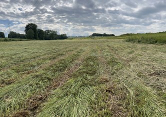 działka na sprzedaż - Jasienica, Międzyrzecze Dolne