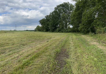 działka na sprzedaż - Jasienica, Międzyrzecze Dolne
