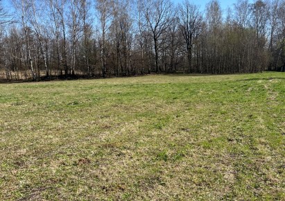 działka na sprzedaż - Jasienica