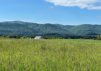 parcel for sale - Jasienica, Międzyrzecze Górne