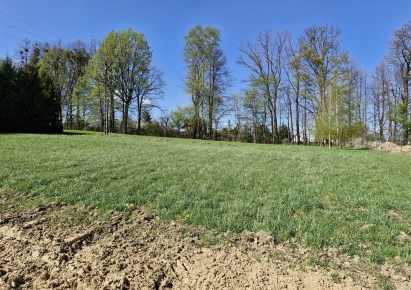 działka na sprzedaż - Jasienica, Bielowicko