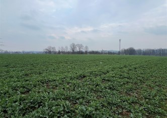 działka na sprzedaż - Jasienica, Międzyrzecze Dolne