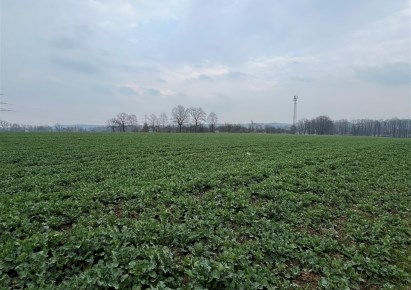 działka na sprzedaż - Jasienica, Międzyrzecze Dolne