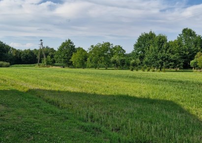 parcel for sale - Jasienica, Bielowicko