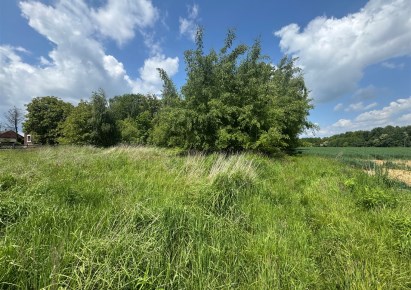 parcel for sale - Hecznarowice