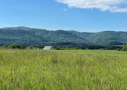 parcel for sale - Jasienica, Międzyrzecze Górne