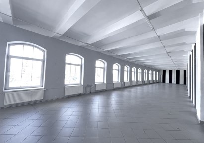 premise for rent - Bielsko-Biała, Centrum