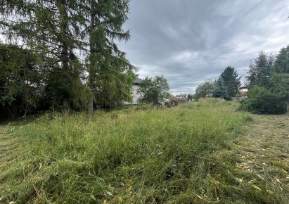 działka na sprzedaż - Buczkowice, Godziszka