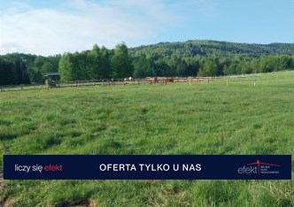 działka na sprzedaż - Jeleśnia, Krzyżowa