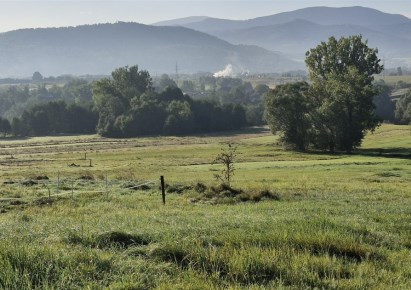 działka na sprzedaż - Łodygowice, Pietrzykowice