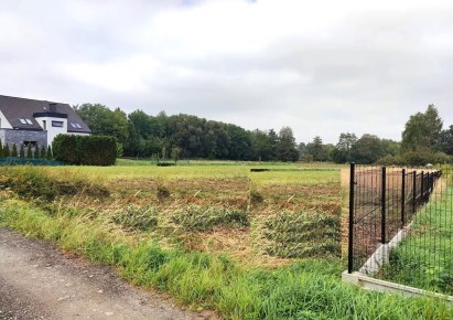 parcel for sale - Jasienica, Biery