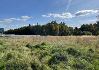 parcel for sale - Czechowice-Dziedzice