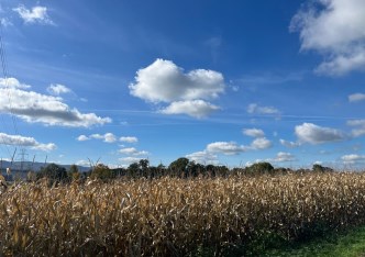 działka na sprzedaż - Jasienica, Mazańcowice