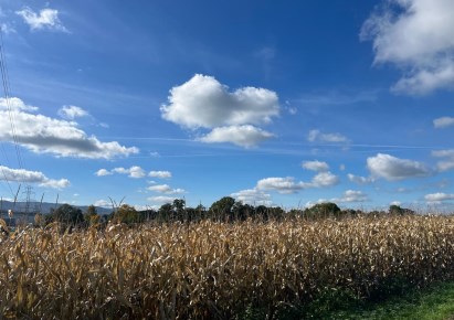 działka na sprzedaż - Jasienica, Mazańcowice