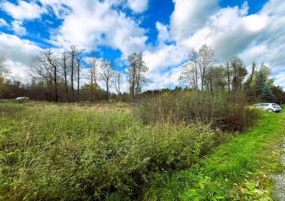 działka na sprzedaż - Lipowa, Leśna