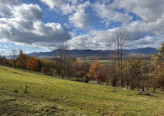 działka na sprzedaż - Radziechowy-Wieprz