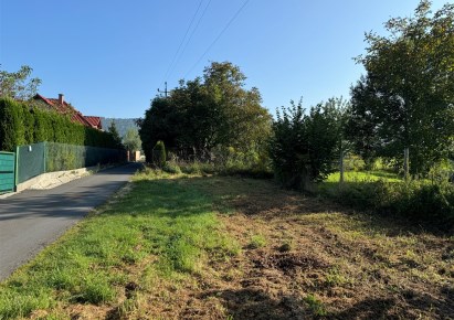 parcel for sale - Wilkowice