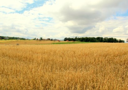 działka na sprzedaż - Czechowice-Dziedzice