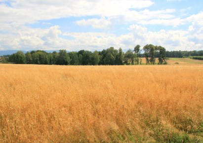 działka na sprzedaż - Czechowice-Dziedzice