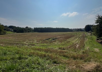 działka na sprzedaż - Bestwina