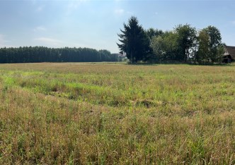 działka na sprzedaż - Bestwina